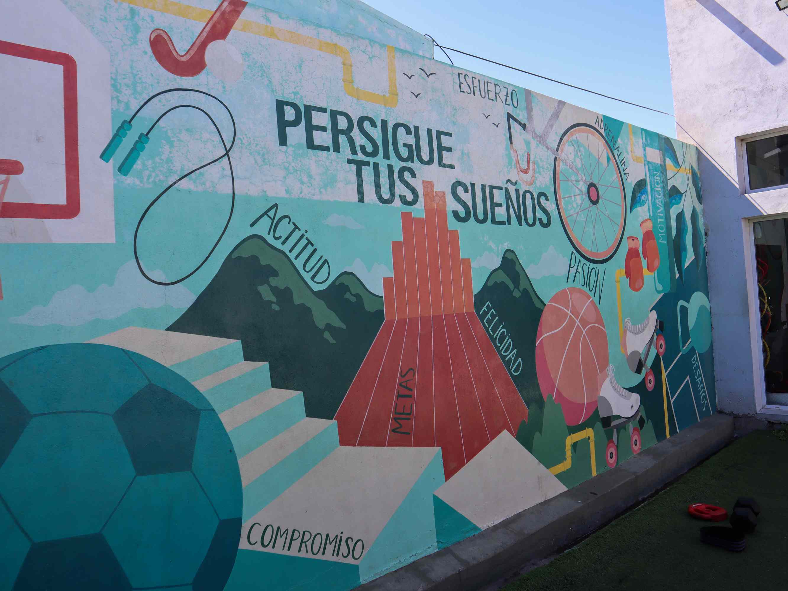 Curso de Preparación Física Integral